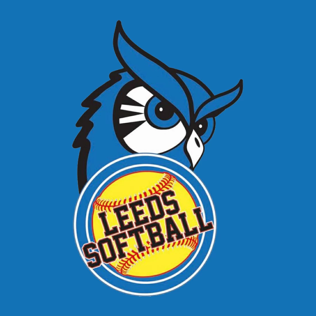 Leeds Softball Association