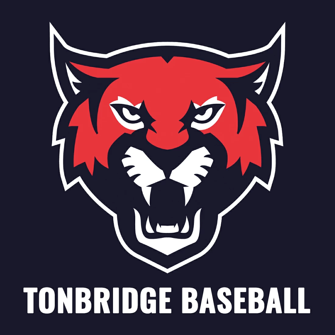 Tonbridge Baseball