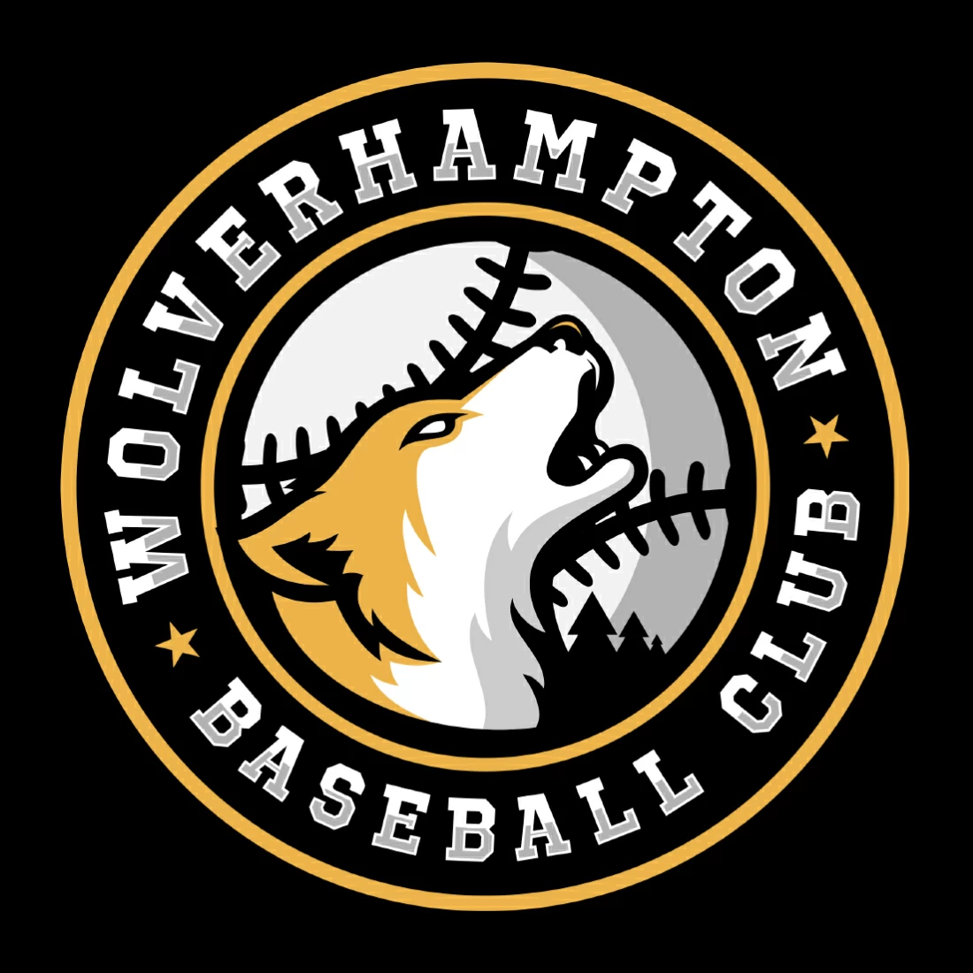 Wolverhampton Baseball
