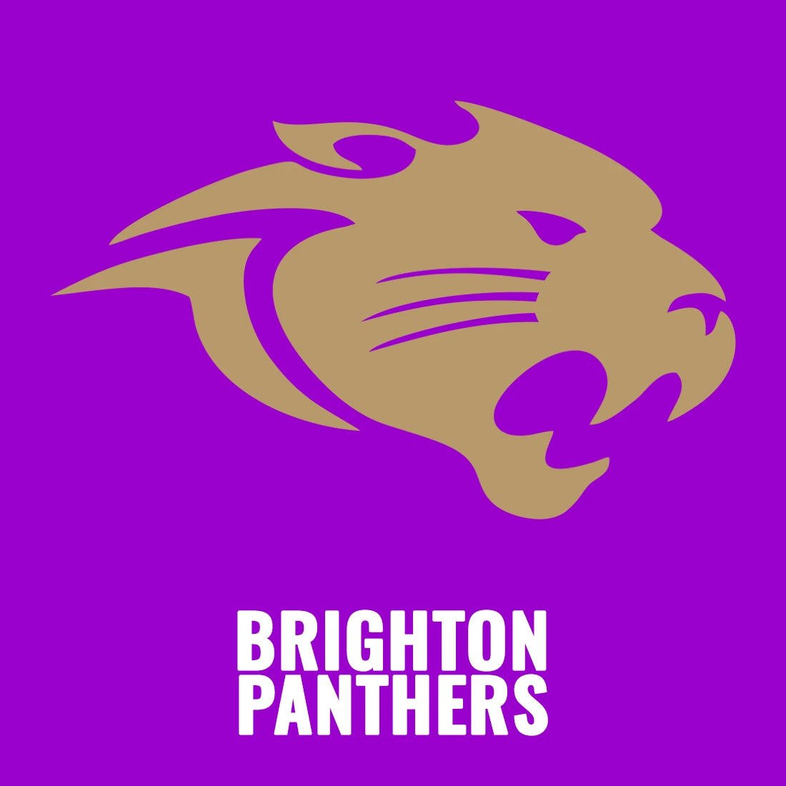 Brighton Panthers